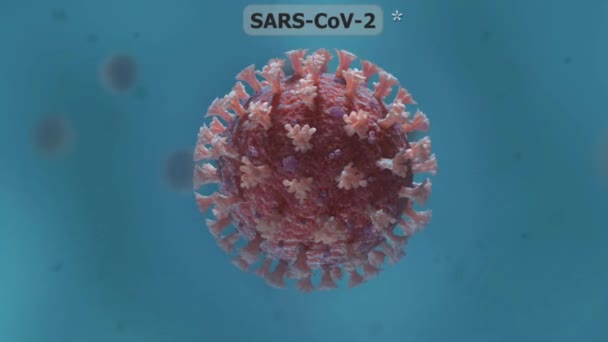 Coronavirus Une Famille Virus Qui Peuvent Causer Des Maladies Allant — Video