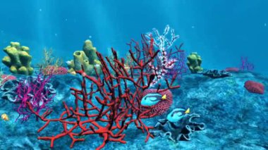 Sıradan bir sazan balığının anatomisi koruyucu pullarla kaplı, denge için sırt yüzgeci ve titreşimleri algılamak için yanal bir çizgi içerir..