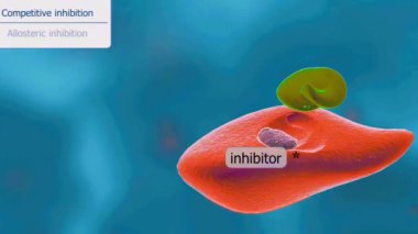 Enzim inhibitörü, bir molekülün bir enzimin etkinliğini azalttığı veya önlediği süreçtir..