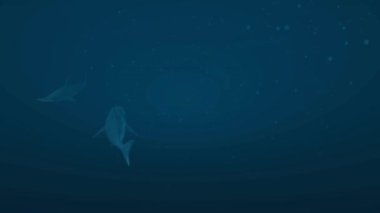 Büyük çekiç başlı köpekbalığı, eşsiz çekiç şekilli kafası ile tanınan ve duyusal algılama ve avlanma yeteneklerini geliştiren büyük ve ayırt edici bir türdür..