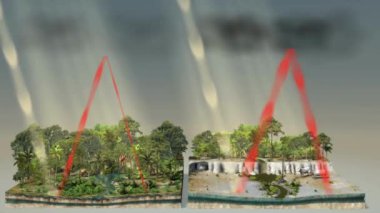 Ormanların tahrip edilmesi biyolojik çeşitliliği etkiler, iklim değişikliğini hızlandırır, toprak erozyonuna neden olur, su döngülerini bozar ve karbon depolamayı azaltır, bu da çevresel bozulmaya yol açar..