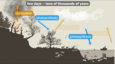 Hızlı karbon döngüsü atmosfer, okyanuslar ve biyosfer arasında hızlı değişimleri içerirken, yavaş karbon döngüsü karbonu binlerce yıl boyunca kaya havalanması ve volkanik aktivite gibi jeolojik süreçler boyunca hareket ettirir..