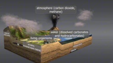 Karbon döngüsü atmosferde karbon dolaşımı yapar. Organizmalar, okyanuslar ve toprak, yaşamın devamlılığı..