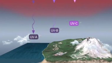 Ozon tabakası Güneş 'in zararlı ultraviyole radyasyonunun çoğunu emer, özellikle de UV-B ve UV-C, canlı organizmaları potansiyel hasarlardan korur ve cilt kanseri riskini azaltır..