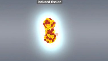 Endüklenmiş fisyon, bir nötronun emilmesi üzerine bir atom çekirdeğinin daha küçük çekirdeklere ayrıldığı ve önemli miktarda enerji açığa çıkardığı bir nükleer reaksiyondur..