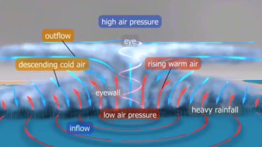 Tropikal bir kasırganın 3 boyutlu enine kesitleri göz, göz duvarı, yağmur bantları ve fırtına sisteminin yapısını gözler önüne seriyor..