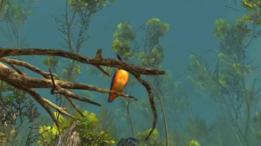 Nehir kenarındaki çevre, bitki örtüsü ve yuva alanlarının yer aldığı ortak Kingfisher habitatının 3D temsili.