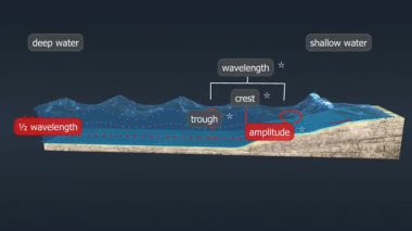 Su yüzeyinde enerji ilerlerken deniz dalgalarında ibiği ve yalın oluşumu gösteren 3 boyutlu bir animasyon.