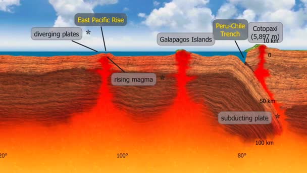 3D анимация, показывающая поперечное сечение морского дна, выделяя хребты, траншеи, абиссальные равнины и осадочные слои.