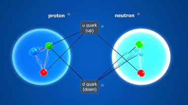 Güçlü nükleer kuvvet dinamikleri olan atomik çekirdeğin içindeki proton ve nötronları gösteren 3D animasyon.