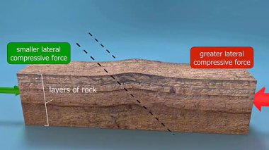 Yatay sıkıştırma ve neredeyse paralel katlanmış uzuvları gösteren 3 boyutlu bir kıvrım canlandırması.