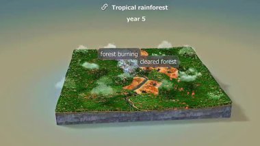 3 boyutlu animasyon, ağaç kesimi, tepe örtüsü kaybı ve açık toprak katmanlarıyla ilerleyen ormansızlaşmayı gösteriyor..