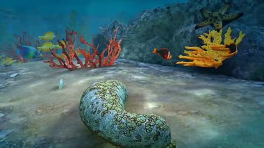 3D animation showing a sea cucumber in 3D view, highlighting its anatomy, texture, and underwater movement.