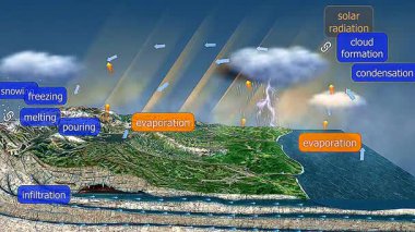 3D animation demonstrating Earth's water cycle: evaporation, condensation, precipitation, collection.