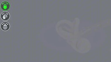 3D animation showing semicircular canals detecting angular head motion to coordinate spatial orientation.