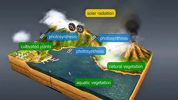3D animation showing CO2 and CO binding to metal centers via ligand coordination and electron sharing.