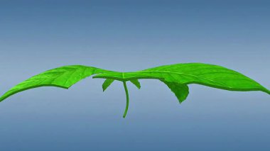 3D animation of plant mesophyll tissue, illustrating its structure and role in photosynthesis.