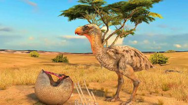 3D animation of Terror Birds, showing full body structure, movement, and predatory behavior in realistic detail.