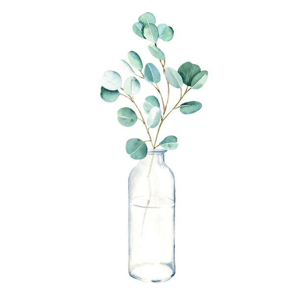 stock image Eucalyptus branch in vase, bottle, jar. Silver dollar. Watercolor hand drawn botanical illustration isolated on white background. Eco minimalistic style for greeting card, poster