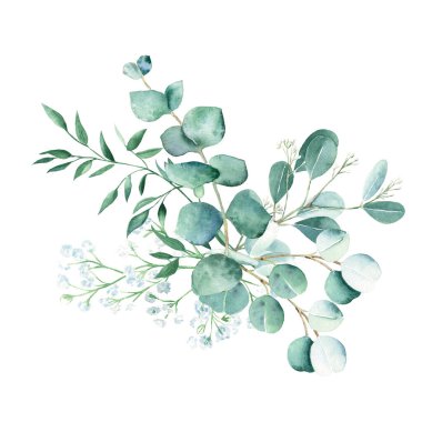 Suluboya yeşillik demeti. Okaliptüs, çingene ve şam fıstığı dalları. El çizimi botanik çizimi beyaz arka planda izole edilmiş. Tebrik kartları, posterler, düğün ve bebek için kullanılabilir