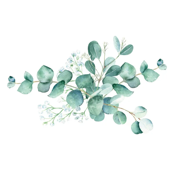 Eucalyptus Watercolor Bouquet Silver Dollar True Blue Seeded Gypsophila Branches — Stock Photo, Image