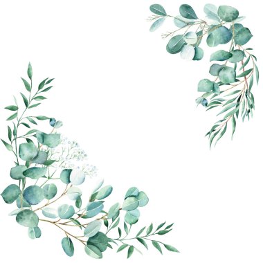 Suluboya çiçek buketleri, köşeler. Okaliptüs, çingene ve şam fıstığı dalları. Gerçek mavi, söğüt, gümüş dolar, tohumlu. El çizimi botanik çizimi beyaz arka planda izole edilmiş. Olabilir.