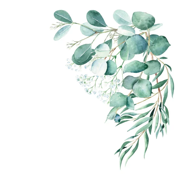 Watercolor Foliage Bouquet Corner Eucalyptus Gypsophila Branches True Blue Willow — Stock Photo, Image