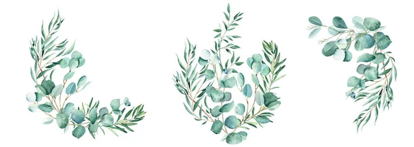 Set Mazzi Acquerelli Eucalipto Pistacchio Rami Ulivo Illustrazione Botanica Disegnata — Foto Stock