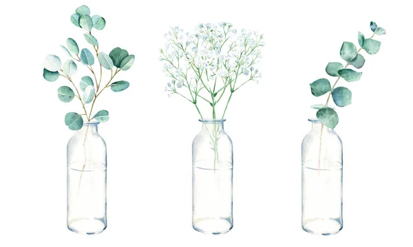 Eucalyptus and gypsophila branches in vases, jars. Watercolor hand drawn botanical illustration isolated on white background. Eco minimalistic style for greeting cards, posters, web design