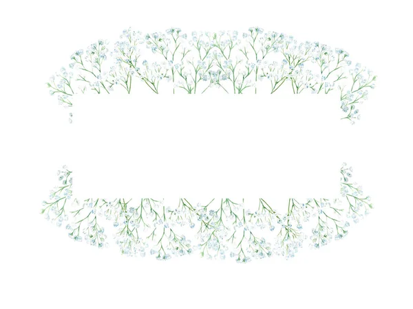 带有吉普赛分枝的水彩藤架 在白色背景上孤立的植物图解 可用于婚礼 婴儿浴室 博客模板 标志和 — 图库照片