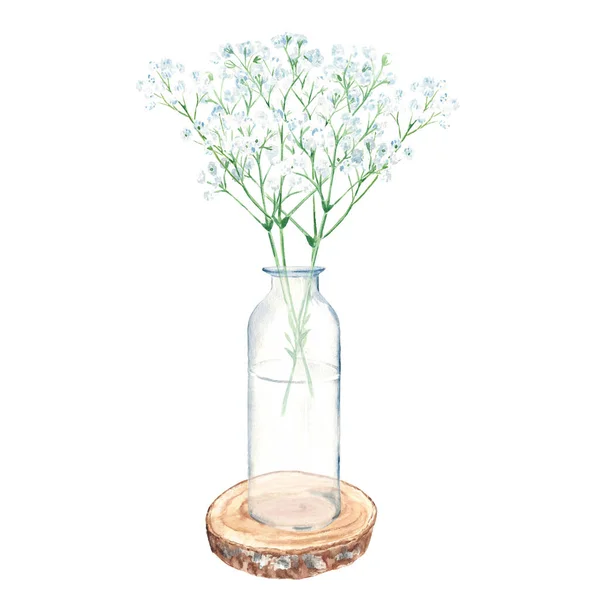 Gypsophila branches in vase, jar on round wooden saw cut. Watercolor hand drawn botanical illustration isolated on white background. Eco minimalistic style for greeting card, poster, textile prints