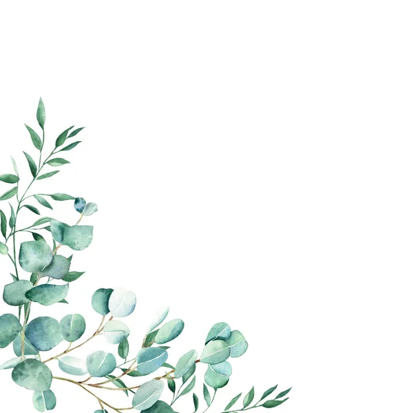 Cadre Aquarelle Branches Eucalyptus Pistache Verdure Rustique Illustration Botanique Dessinée — Photo