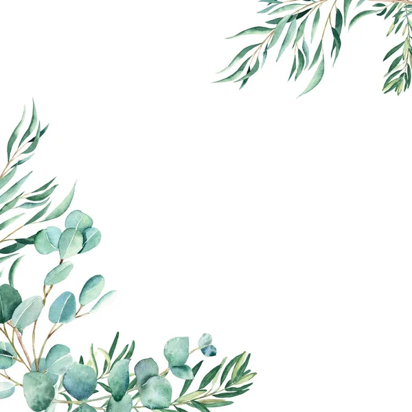 Rama Akwareli Eukaliptusy Gałązki Oliwne Rustykalna Zieleń Ręcznie Rysowana Ilustracja — Zdjęcie stockowe