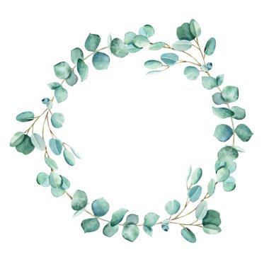 Beyaz arka planda izole edilmiş suluboya okaliptüs yuvarlak çerçeve. El çizimi botanik çizimi. Kırtasiye için ideal, düğün davetiyeleri, tarihi kaydet, tebrik kartı, logolar, çıkartmalar
