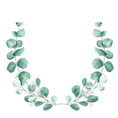 Beyaz arka planda izole edilmiş suluboya okaliptüs dalları. El çizimi botanik çizimi. Düğün davetiyeleri için, tarihi, tebrik kartını, logoları, parmak izlerini ayırın.