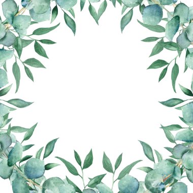 Watercolor square frame with white roses and gypsophila. Hand drawn botanical illustration isolated on white background. Can be used as invitation card for wedding, birthday, anniversary, greeting