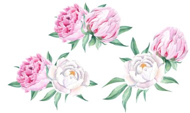 Watercolor peonies bouquets set. Hand painted combination of white and pink flowers and green leaves isolated on white background. Can be used for greeting cards, wedding invitations, save the date