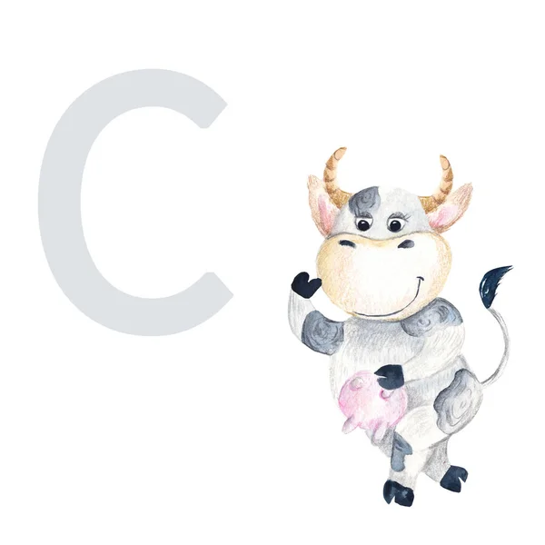 Letter Uppercase Baby Cow Cute Kids Colorful Animal Abc Alphabet — Stockfoto