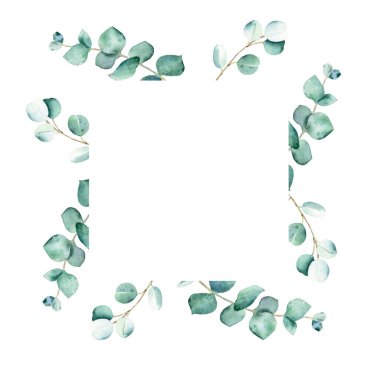 Watercolor square frame with eucalyptus branches. Hand drawn botanical illustration isolated on white background. Can be used for logo design, as invitation card for wedding, birthday, anniversary