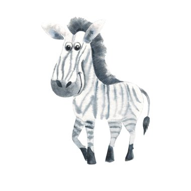 Beyaz arka planda izole edilmiş şirin zebra. Suluboya el çizimi çizimi. Çocuk kartı, ödemeler, duvar kâğıdı tasarımı, hatıra defteri için mükemmel.
