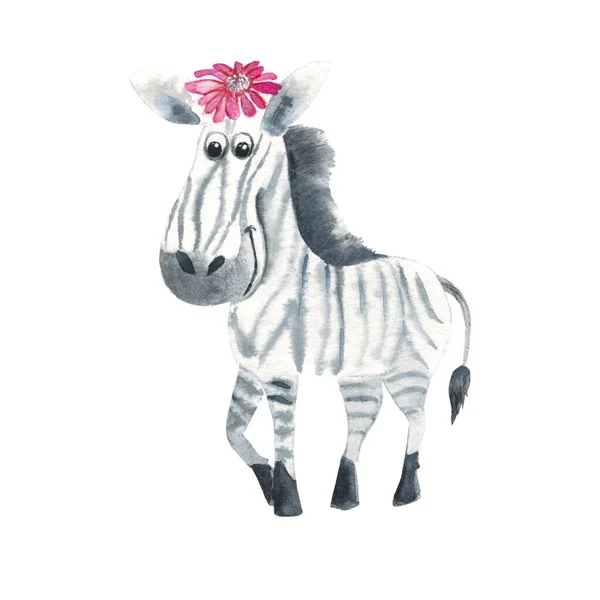Cute Zebra Pink Flower Isolated White Background Watercolor Hand Drawn — Stock fotografie