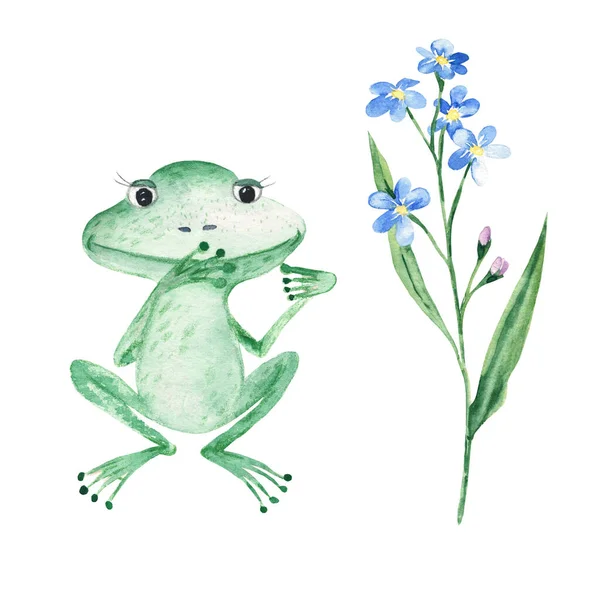 Adorable Baby Frog Forget Isolated White Background Watercolor Hand Drawn — Stock fotografie