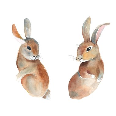 Cute rabbits couple isolated on white background. Watercolor hand drawn illustration. Perfect for kid cards, baby shower, clothes prints, decals, easter festive designs.