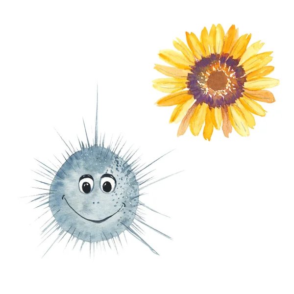 Cute Urchin Ursinis Isolated White Background Watercolor Hand Drawn Illustration — Stock fotografie