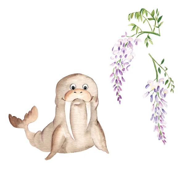 Cute Walrus Wisteria Branches Isolated White Background Watercolor Hand Drawn — Stock fotografie