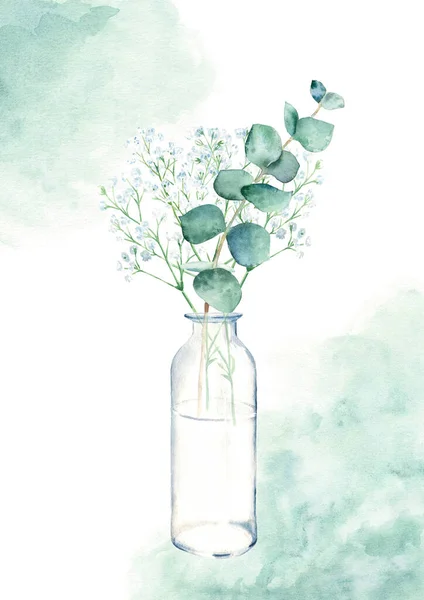 Eucalyptus Och Zigenare Grenar Vas Flaska Burk Grön Akvarell Stänk — Stockfoto