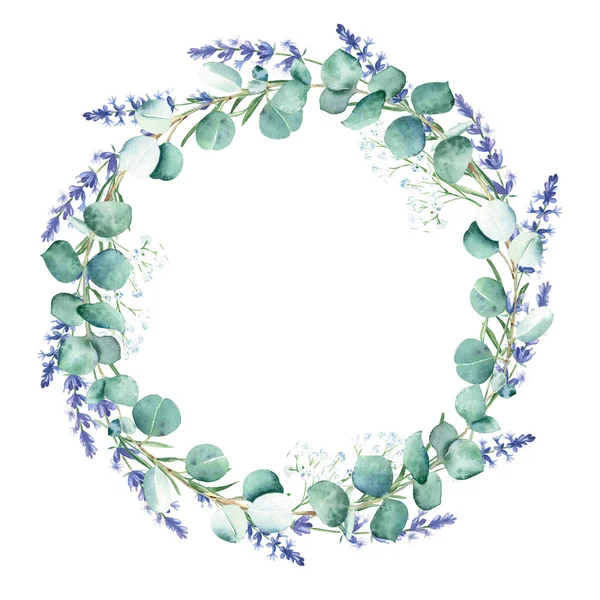 Akvarell Eukalyptus Och Lavendel Grenar Krans Rund Ram Isolerad Vit — Stockfoto