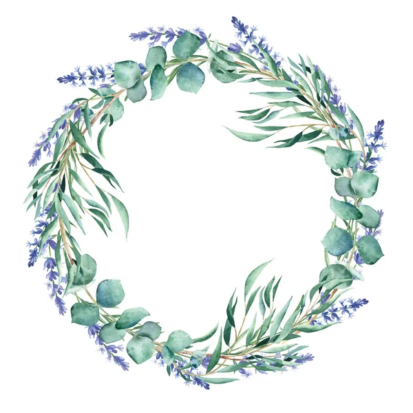 Watercolor Eucalyptus Lavender Branches Wreath Frame Isolated White Background Hand — Stock Photo, Image