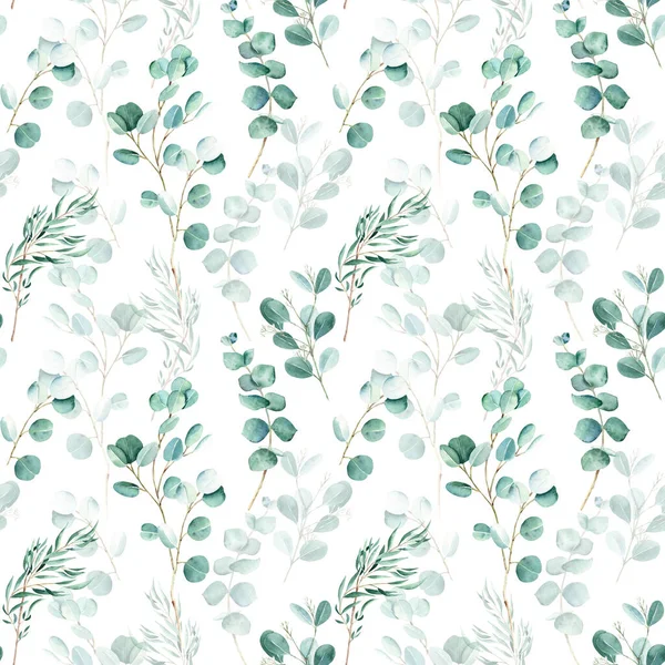 Seamless Watercolor Pattern Eucalyptus Branches White Background Can Used Wedding — Stock Photo, Image