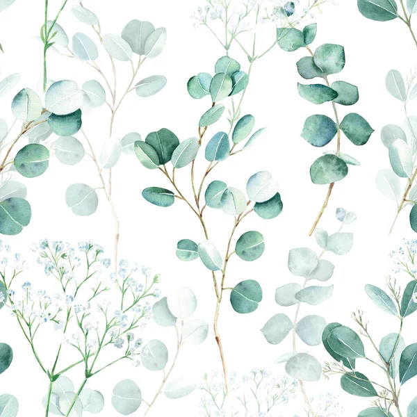 Seamless Watercolor Pattern Eucalyptus Gypsophila Branches White Background Can Used — Stock Photo, Image